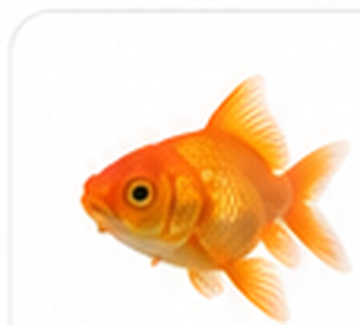 Categoria Peixe